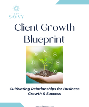 Get Savvy Workbook | Client Growth Blueprint | Be Bold Get Savvy Small Business Solutions