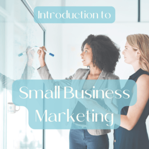 introduction to small business marketing | Self-direct course | Women's Business Resource Community | Village | Get Savvy | Small Business Strategies and Solutions