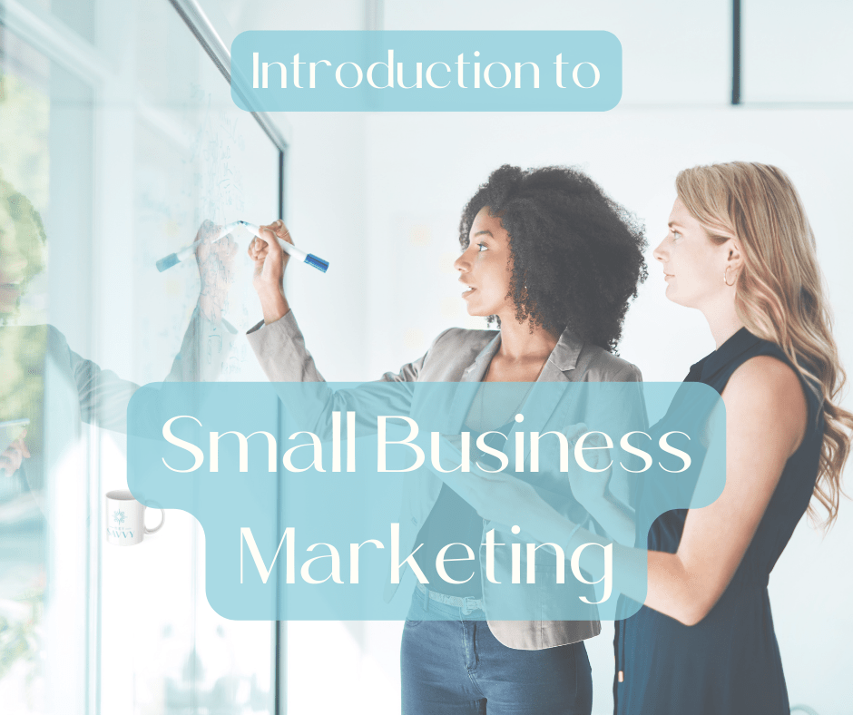 introduction to small business marketing | Self-direct course | Women's Business Resource Community | Village | Get Savvy | Small Business Strategies and Solutions